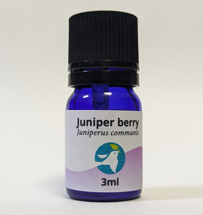 ジュニパーベリー/Juniper berry/Juniperus communis
