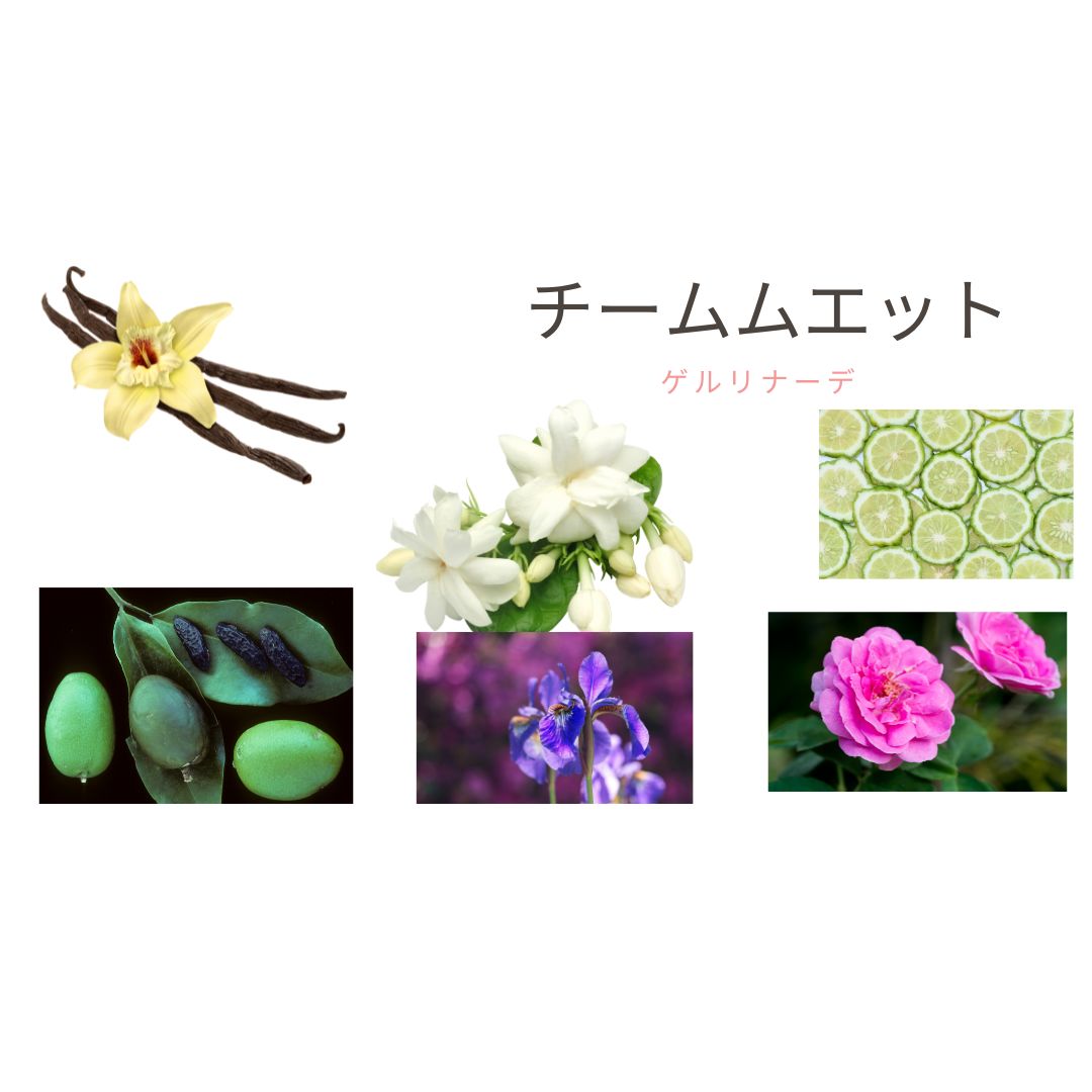 6月1日＜チームムエット報告＞