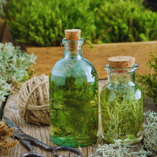 チンキが香らない理由｜水を加えると香りが開く仕組み【ハーブ抽出の科学】