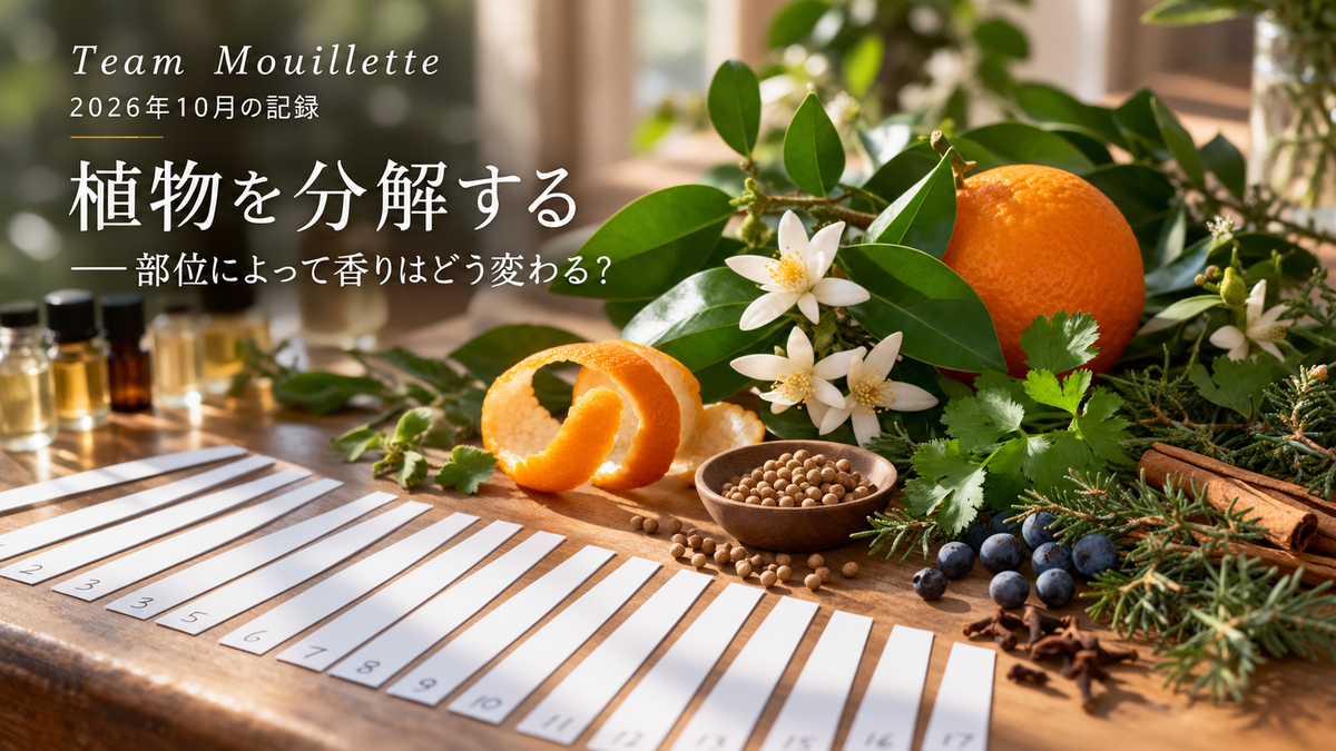 10月1日同じ植物でも部位で香りは変わる？天然香料の嗅ぎ比べ｜Team Mouillette