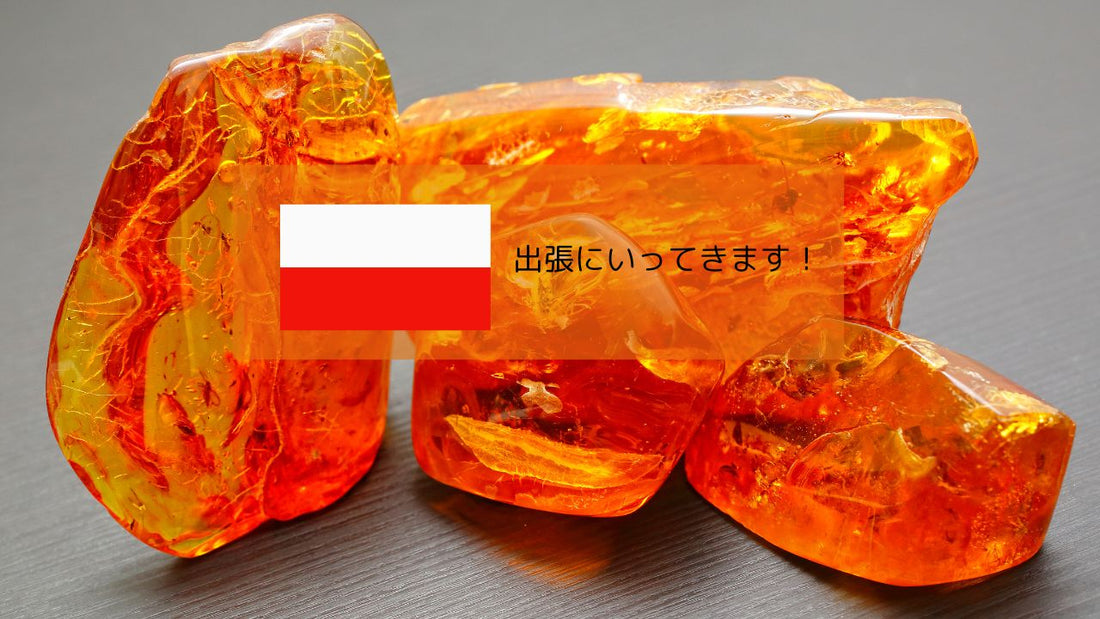 今週末からポーランド出張です
