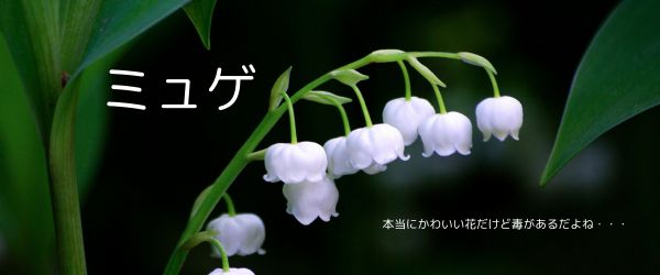 ディオリッシモとアマリリス：香りのモデリングの深掘り