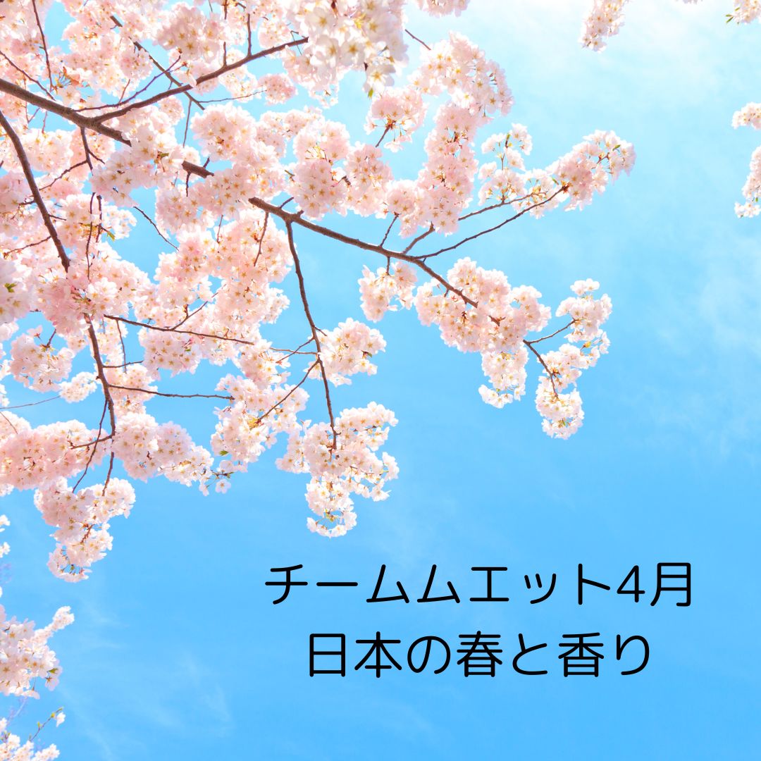 【チームムエットアーカイブ】桜とクマリン｜香りと言葉の記録（2025年4月1日開催）