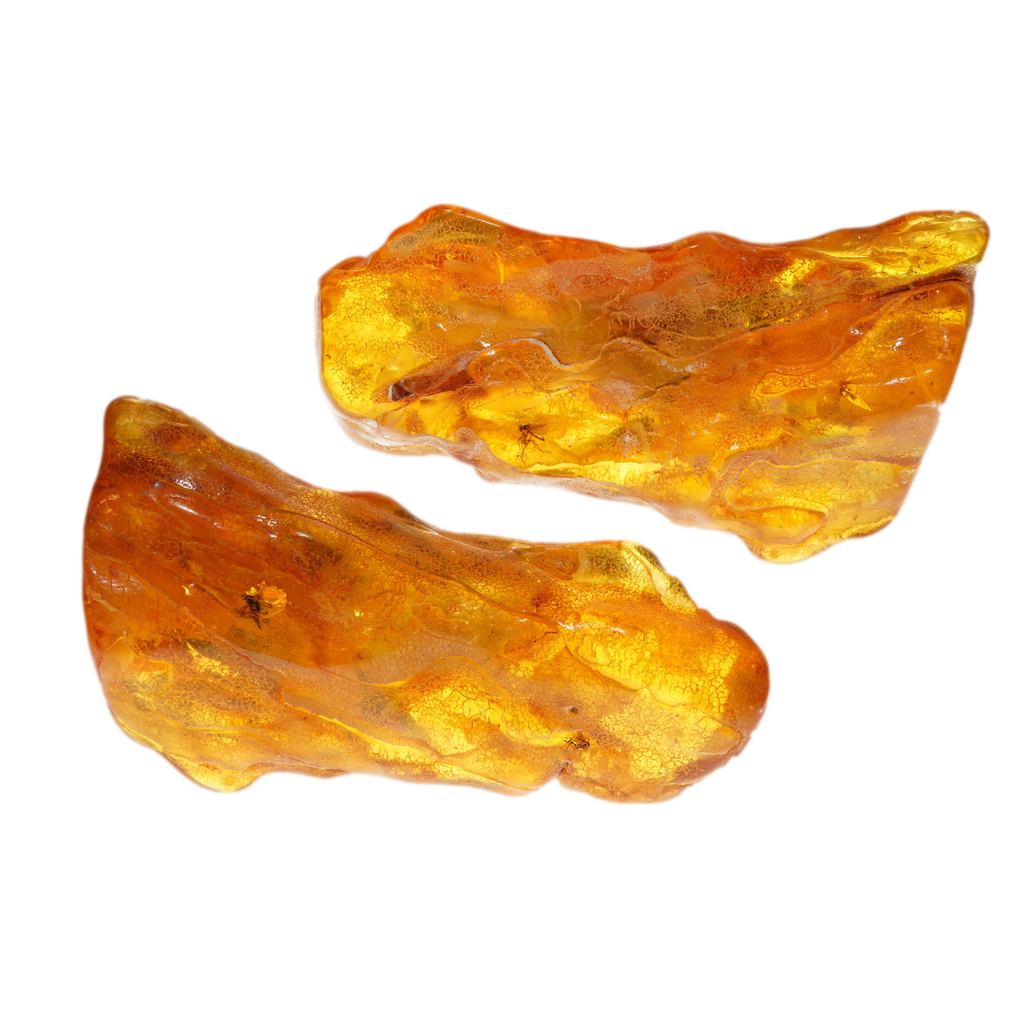 化石アンバー/Amber fossilized/oleum succiniamber
