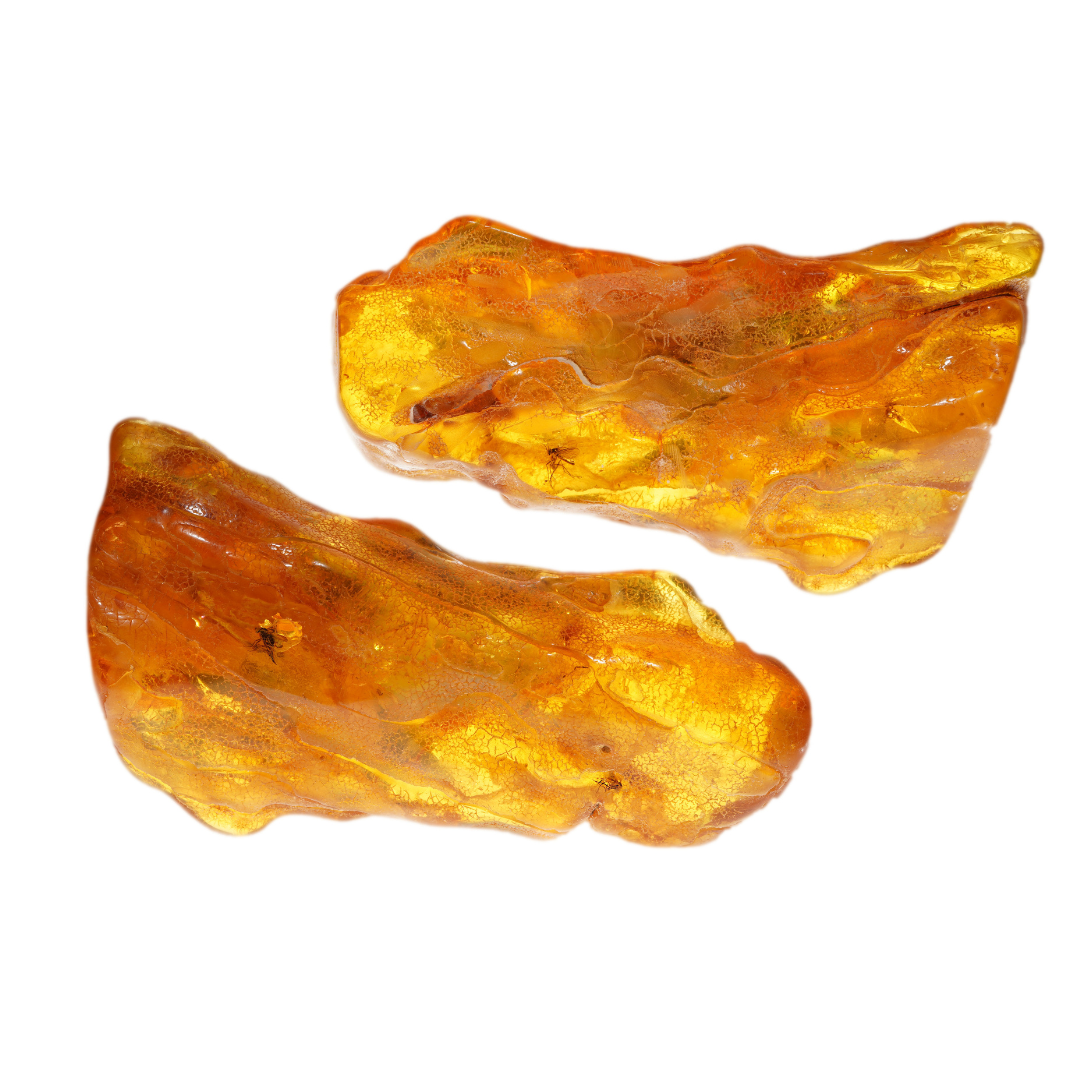 化石アンバー/Amber fossilized/oleum succiniamber