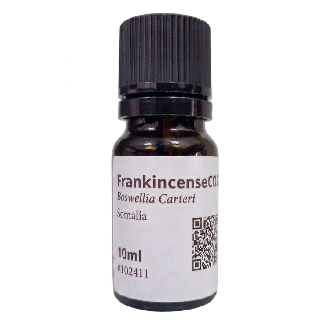 フランキンセンス CO2｜Frankincense CO2｜Boswellia carteri