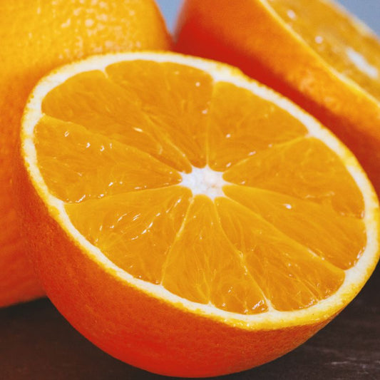 オレンジスイートCO2/OrangesweetCO2/Citrus sinensis