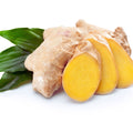 ジンジャー/Ginger/Zingiber officinalis