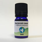 マージョラムスイート/Marjoram sweet/Origanum marjorana