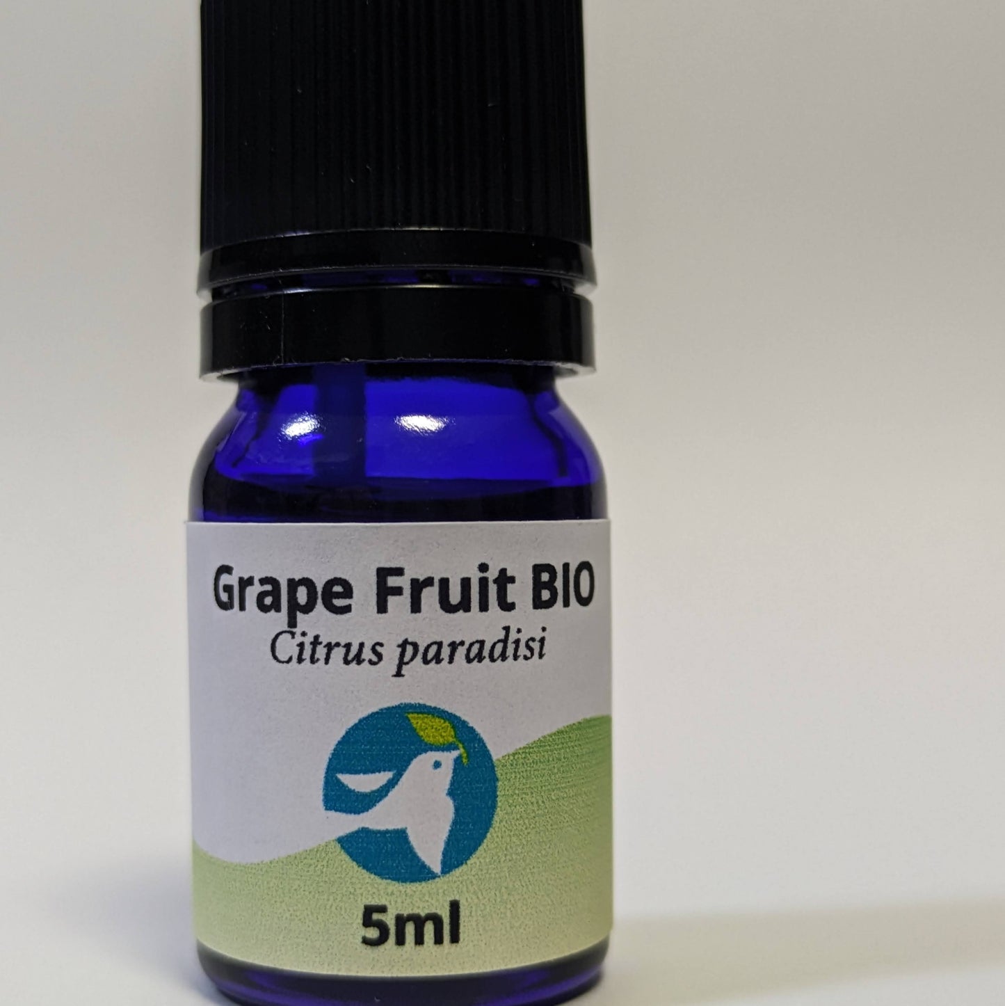 グレープフルーツBIO/Grape Fruit BIO/Citrus paradisi