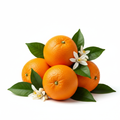 Sweet Orange