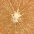 ホワイトグレープフルーツのBIO/このサイズのかんきつフルーツになると花のサイズも格別大きく見応えがある/フレッシュでキュっと甘苦いかんきつ系の香