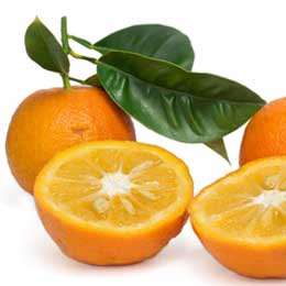 赤く熟したビターオレンジの果皮油/精油の色もこく、とろりとしている/香りもとろり系