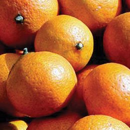 オレンジジュースは果肉の部分、果皮は精油に/蒸留モノ/寝る前にリラックスモードにスイッチをいれる