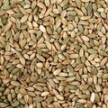中近東ではコーヒーと混ぜて飲むそうです！/インドやネパールだとチャイ（ミルク紅茶）のキーになる香り/芳香健胃作用