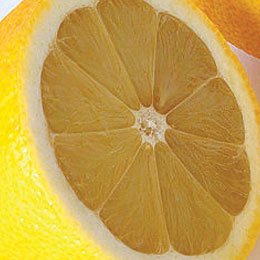 レモンの果皮CO2抽出オイル/圧搾とすごい大差は香りの上ではないと思う/ブレンドしたときの伸びみたいのは違いがあるかもしれないない