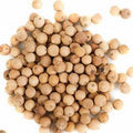ホワイトペッパーオレオレジン/食品に使われる目的で抽出したものをオレオレジンという/ピリピリ感を感じる